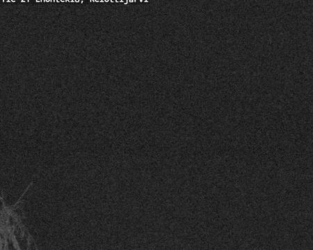 Tie 21 Enontekiö, Kelottijärvi