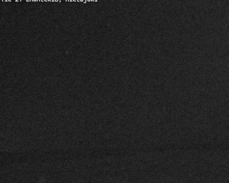 Tie 21 Enontekiö, Hietajoki