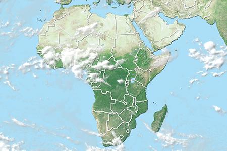 Satelliitti