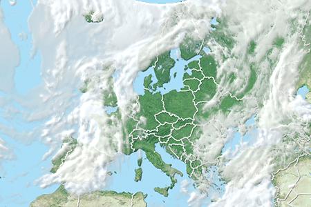 Satelliitti