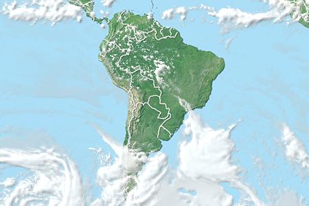 Satellite