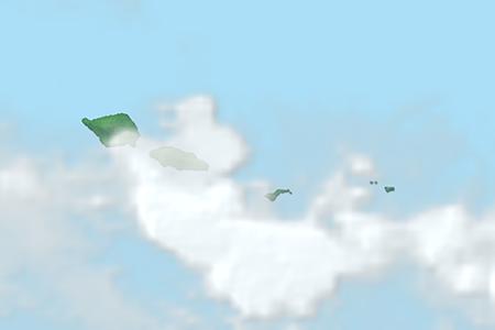 Satellite