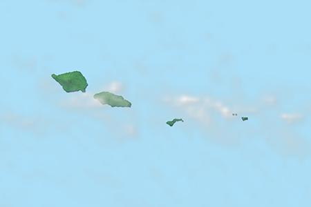 Satellite