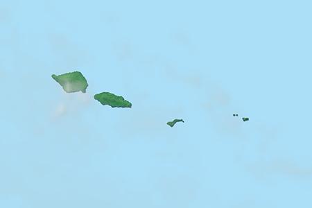 Satellite
