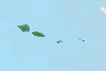 Satelliitti