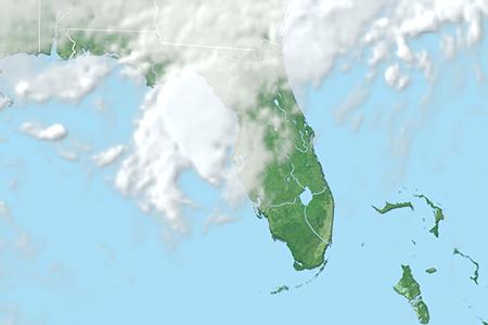 Satelliitti