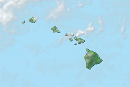 Satellite