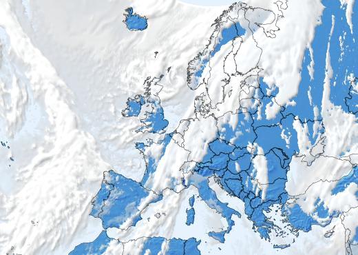 Satelliitti