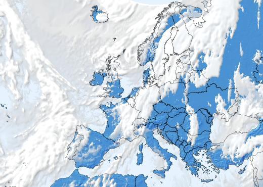 Satelliitti