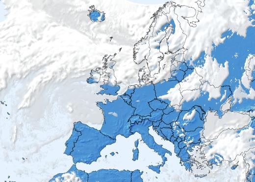 Satelliitti