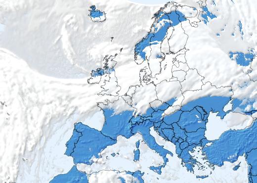 Satelliitti