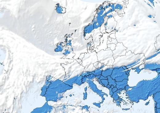 Satelliitti