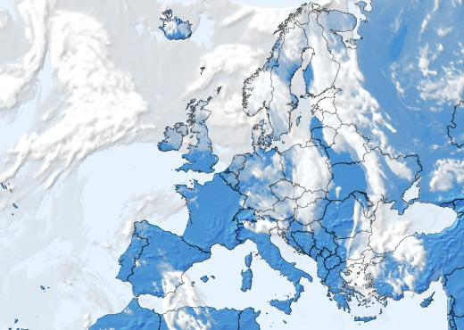 Satelliitti