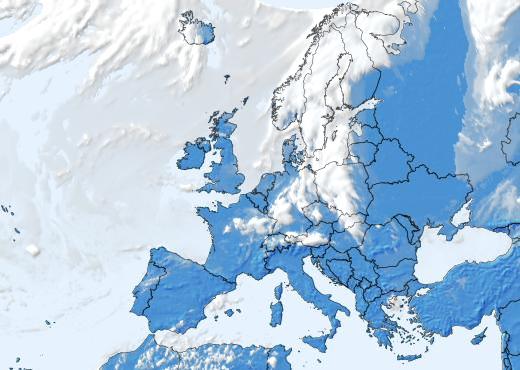 Satelliitti