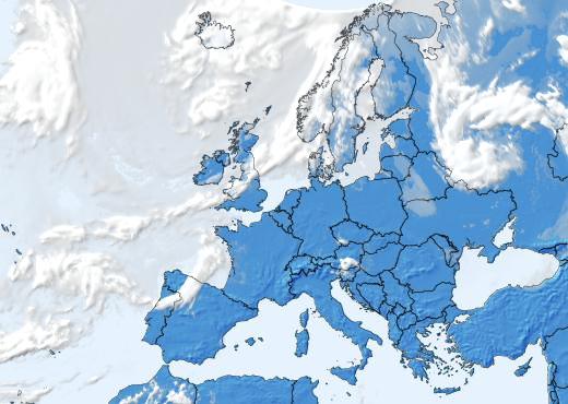 Satelliitti