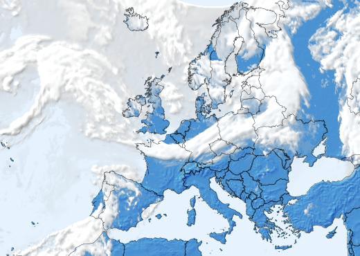 Satelliitti