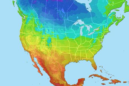 Temperature