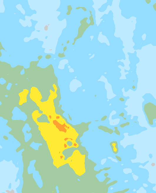 Tuuli