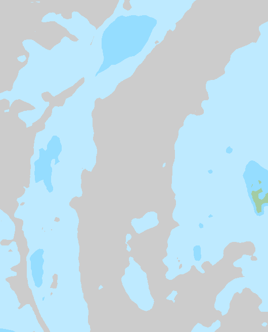 Tuuli