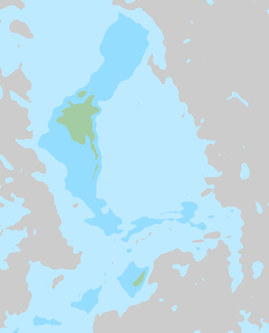 Tuuli