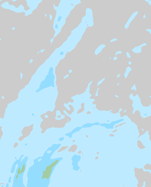 Tuuli