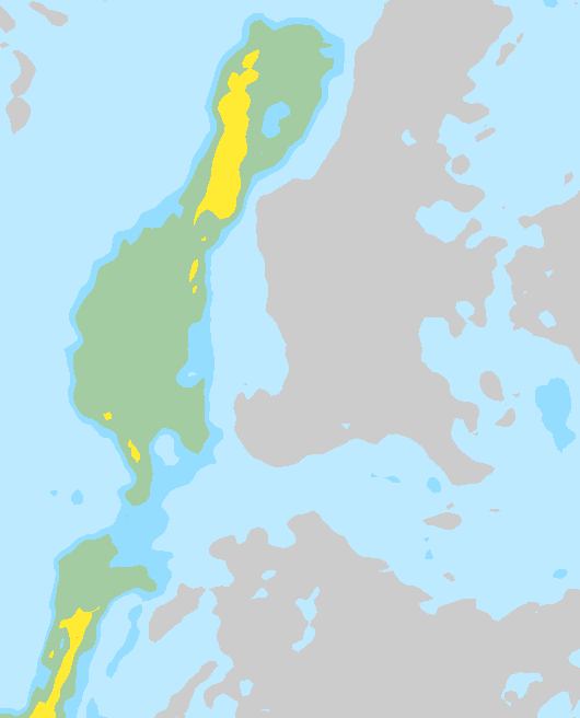 Tuuli