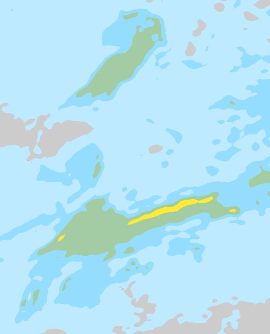 Tuuli