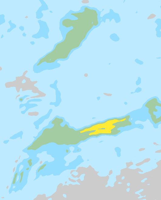 Tuuli