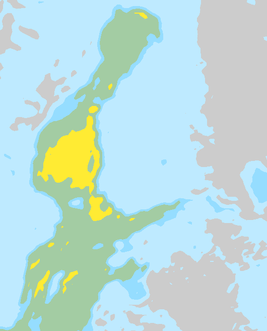 Tuuli