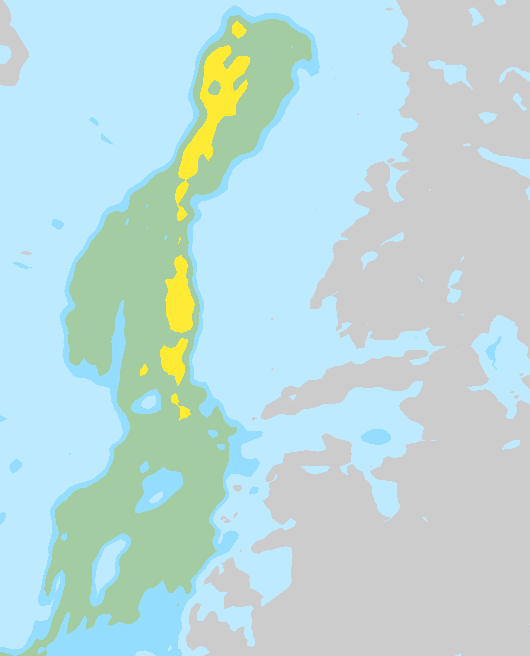 Tuuli