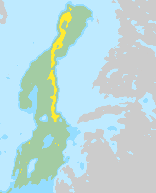 Tuuli