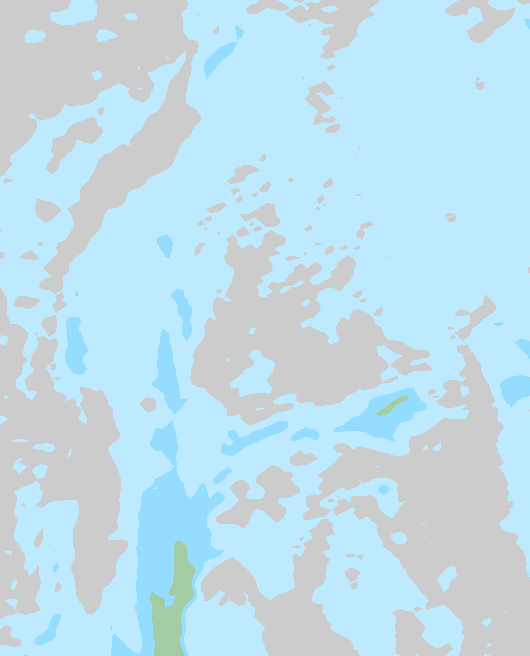 Tuuli