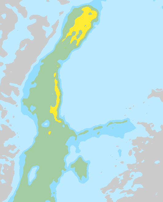 Tuuli