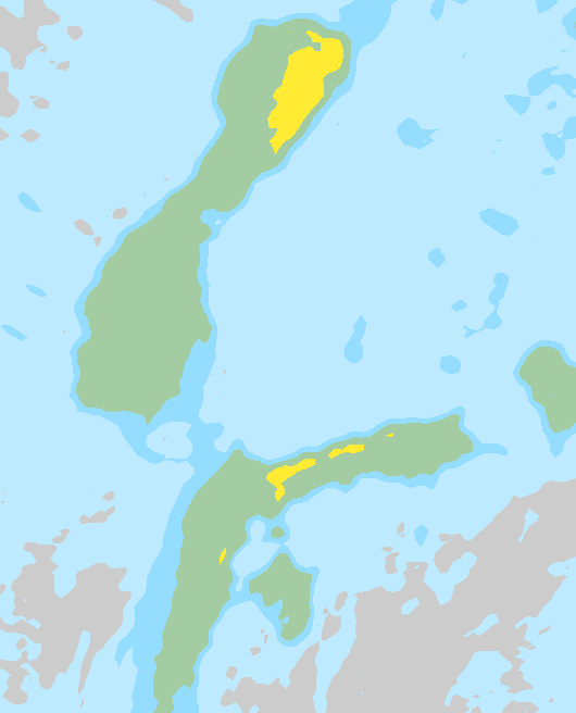 Tuuli