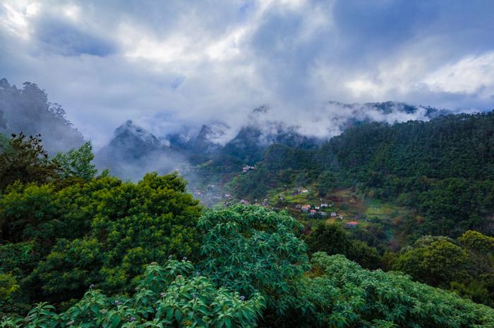 At cloud level on the Madeiran mountains it is usually significantly cooler than lower on the beaches. 