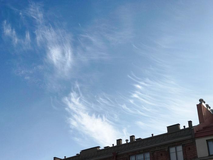 Cirrus uncinus and Cirrus fibratus -clouds. Cirrus clouds are high-level clouds.