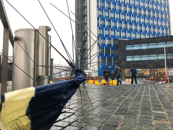 Gusty winds can break umbrellas.