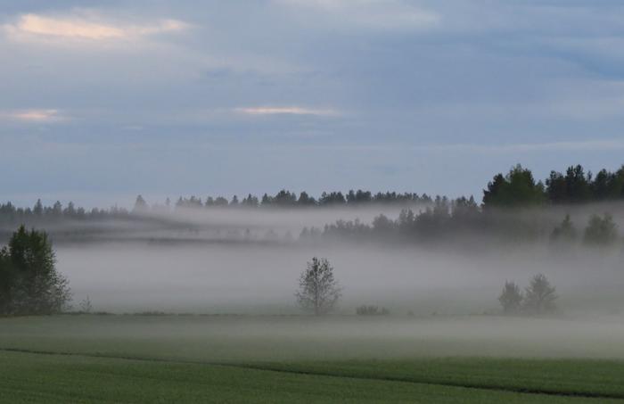 Often fog forms close to the ground, as long wave radiation escapes the ground and the air just above it cools down.